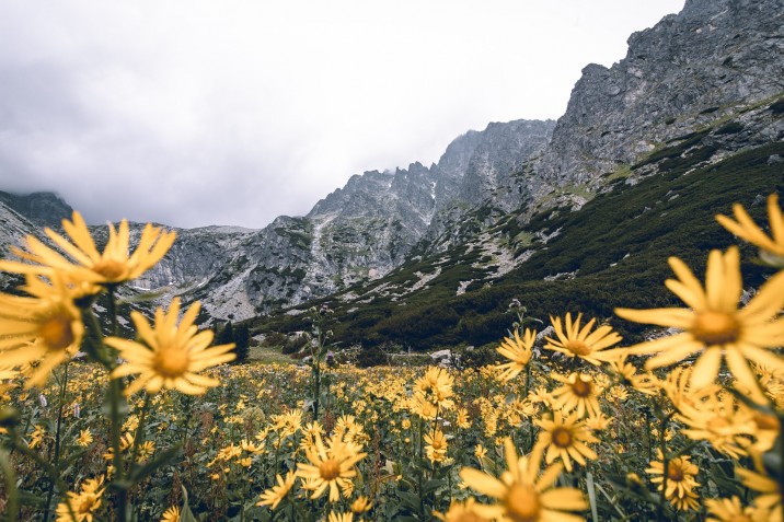 Fotó: Tomáš Malík on Unsplash